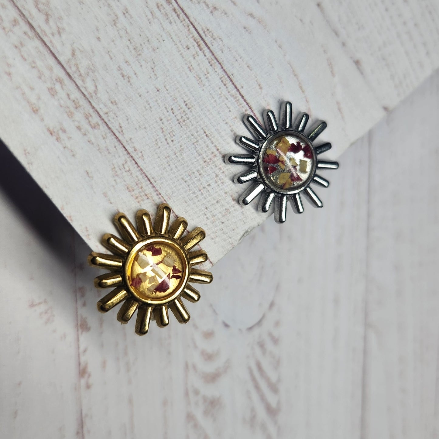 Puces Soleil Janvier