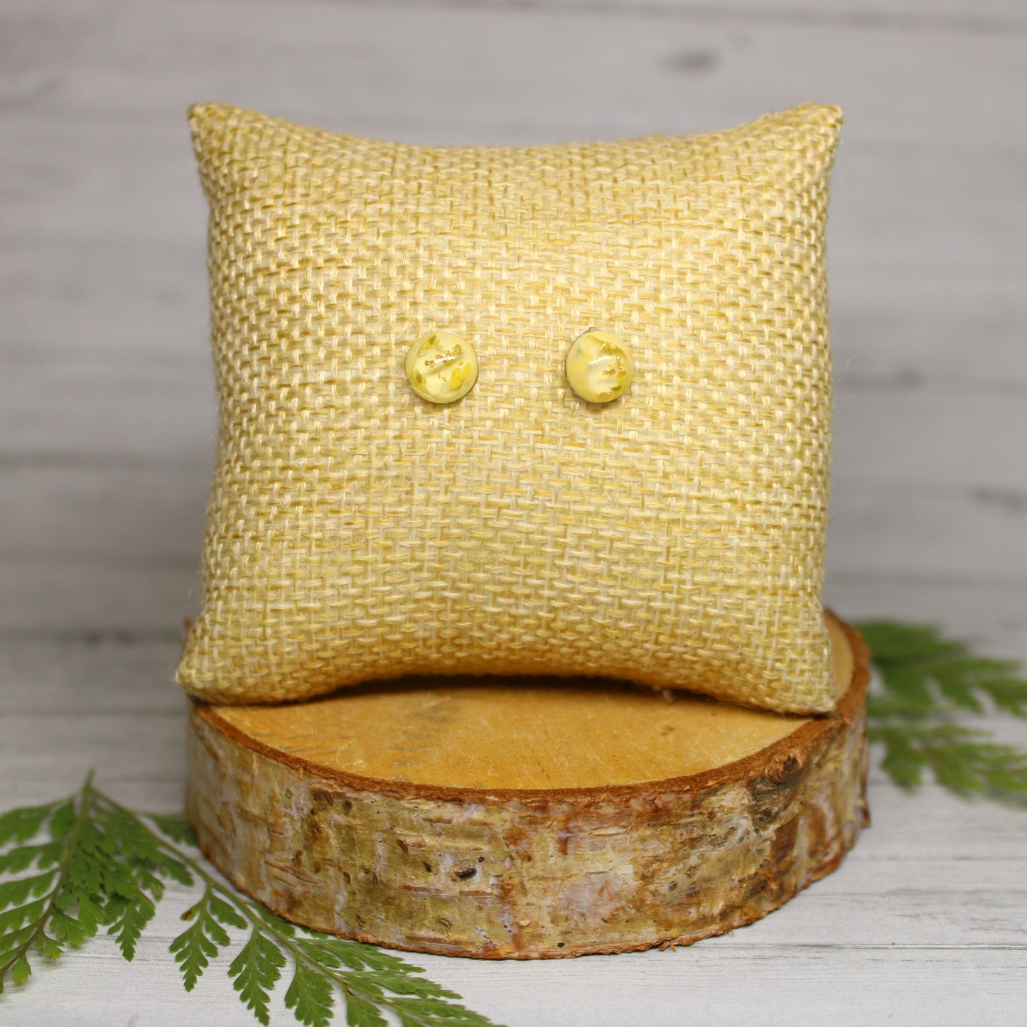 Puces d'oreilles Andromède Jaune