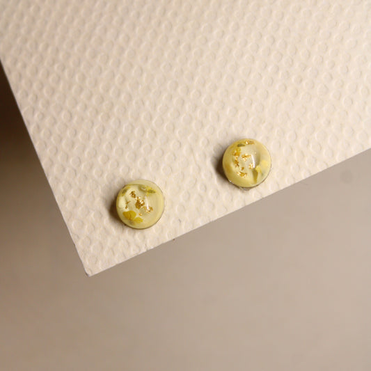 Puces d'oreilles Andromède Jaune
