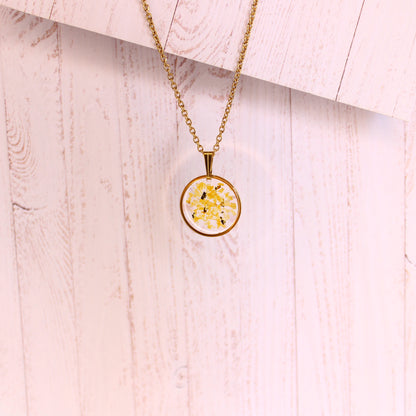Collier Août